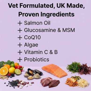 8-in-1 Multi-Action Treats