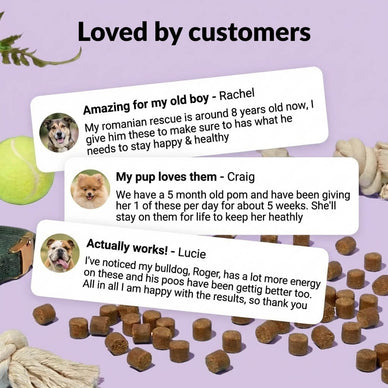 8-in-1 Multi-Action Treats