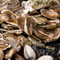 Glucosamine