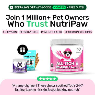 All-Itch & Immunity Treats