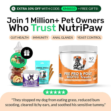 Pre, Pro & Postbiotic Digestive Treats