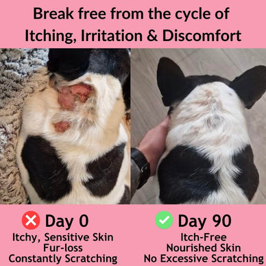 All-Itch Food Topper