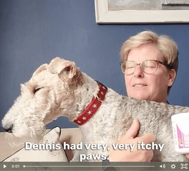 All-Itch & Immunity Treats