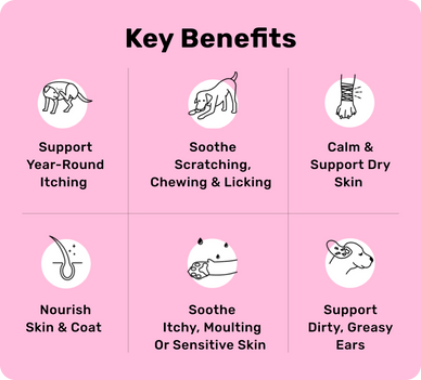 All-Itch & Immunity Treats