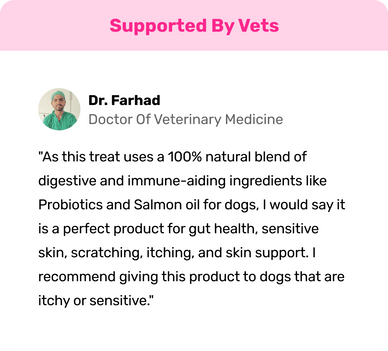 All-Itch & Immunity Treats