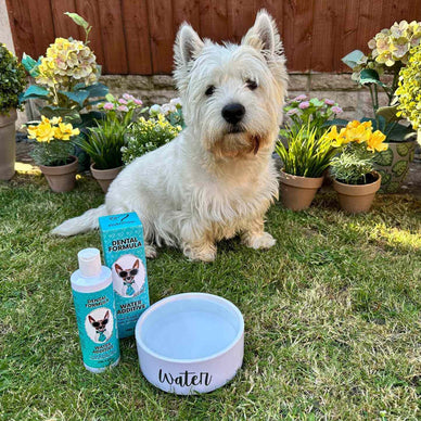 Dental Formula Water Additive