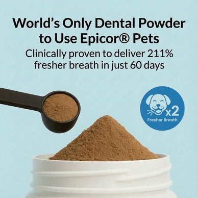 Dental Powder