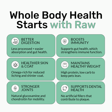 Freeze Dry Raw Chicken