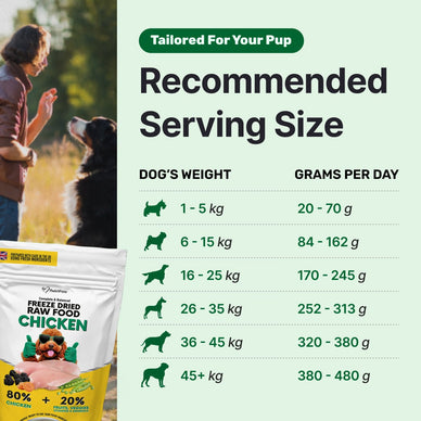 Freeze Dry Raw Chicken