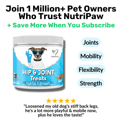 Hip & Joint Treats