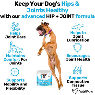 Hip & Joint Treats