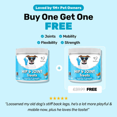 Hip & Joint Treats