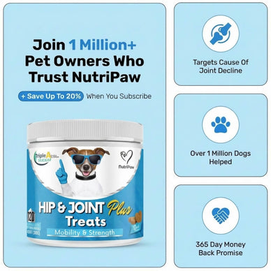 Hip & Joint Treats Plus