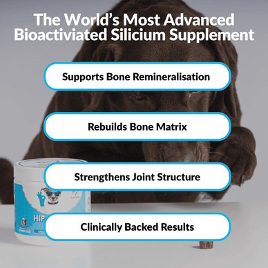 Hip & Joint Treats Plus