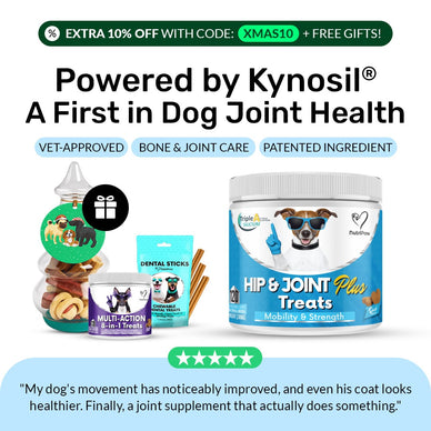 Hip & Joint Treats Plus