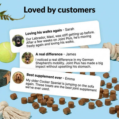 Hip & Joint Treats Plus