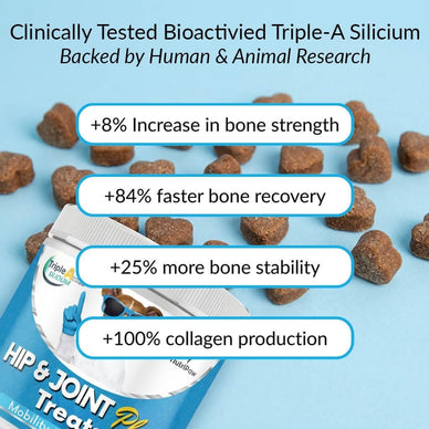 Hip & Joint Treats Plus