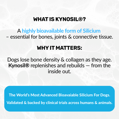 Hip & Joint Treats Plus