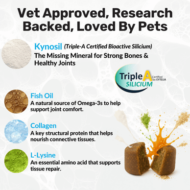 Hip & Joint Treats Plus