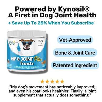 Hip & Joint Treats Plus