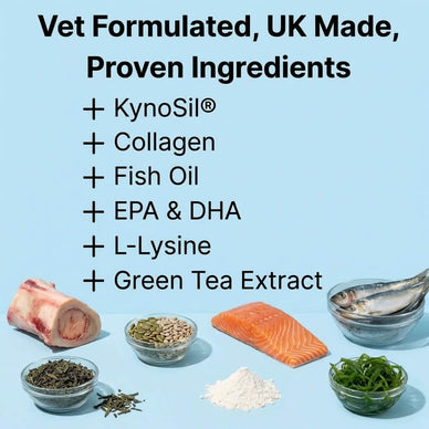 Hip & Joint Treats Plus