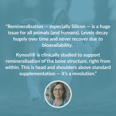 Hip & Joint Treats Plus