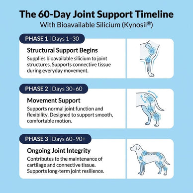 Hip & Joint Treats Plus