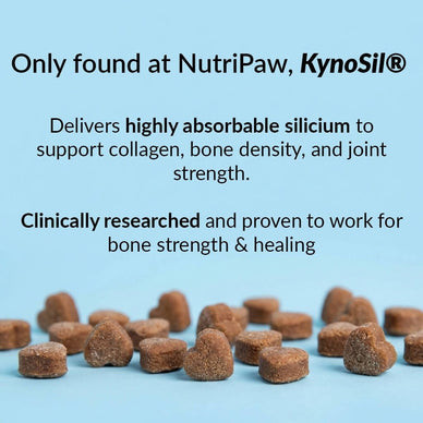 Hip & Joint Treats Plus