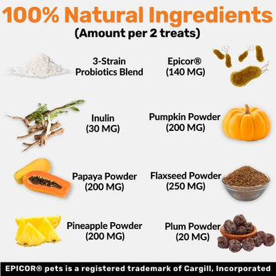 Pre, Pro & Postbiotic Digestive Treats