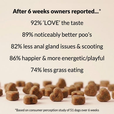 Pre, Pro & Postbiotic Digestive Treats