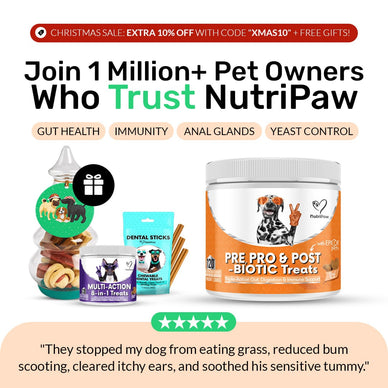 Pre, Pro & Postbiotic Digestive Treats