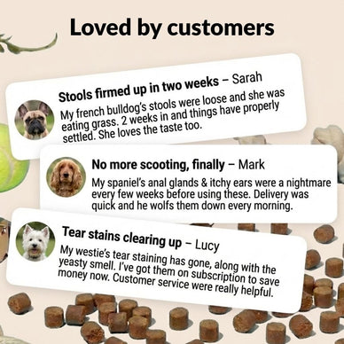 Pre, Pro & Postbiotic Digestive Treats