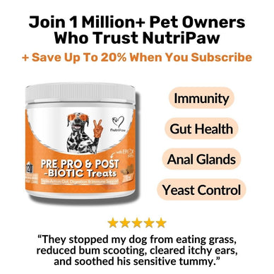 Pre, Pro & Postbiotic Digestive Treats