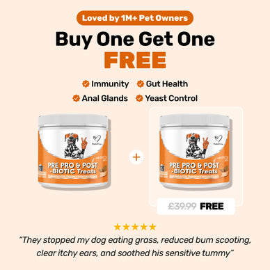 Pre, Pro & Postbiotic Digestive Treats