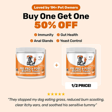 Pre, Pro & Postbiotic Digestive Treats BOGO