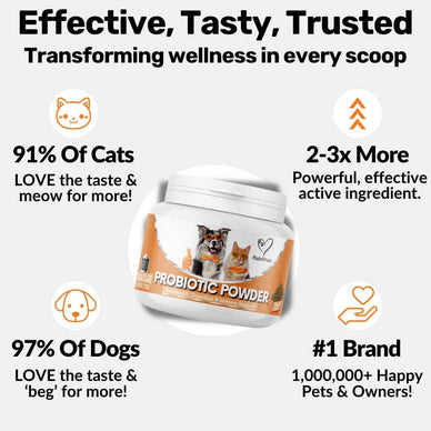 Pre, Pro & Postbiotic Powder