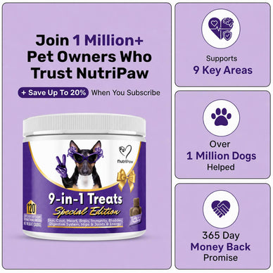 Special Edition 9-in-1 Treats