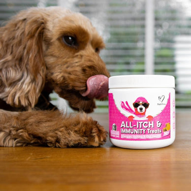 Vegan All-Itch