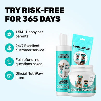 VIP OFFER: 51% OFF DENTAL KIT for 🔥 MAX RESULTS 🔥