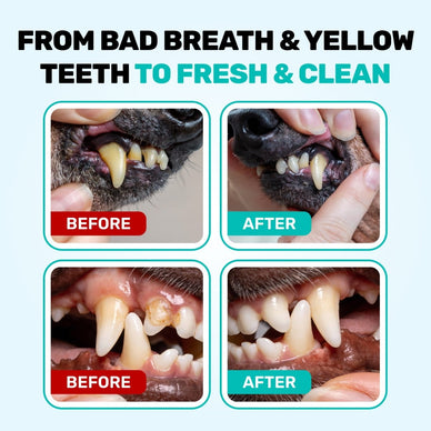 VIP OFFER: 51% OFF DENTAL KIT for 🔥 MAX RESULTS 🔥