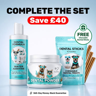 VIP OFFER: 51% OFF DENTAL KIT for 🔥 MAX RESULTS 🔥