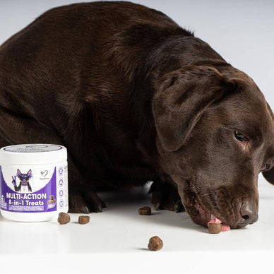 8-in-1 Multi-Action Treats