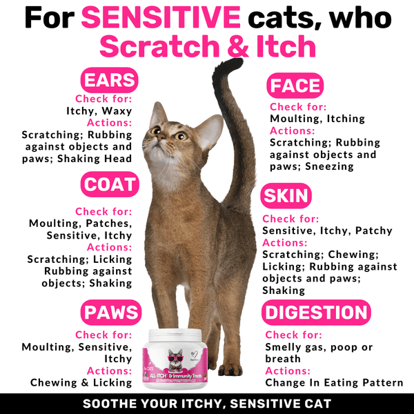 AllItch Chews for Cats NutriPaw