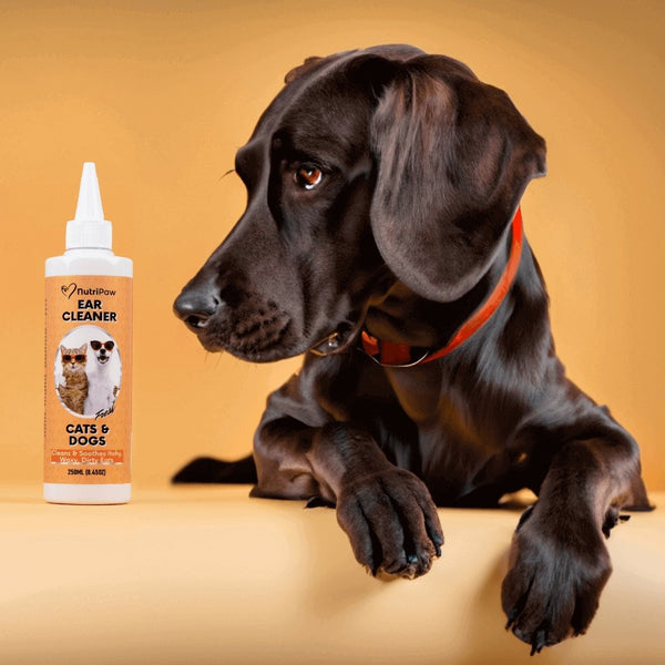 Ear Cleaner NutriPaw