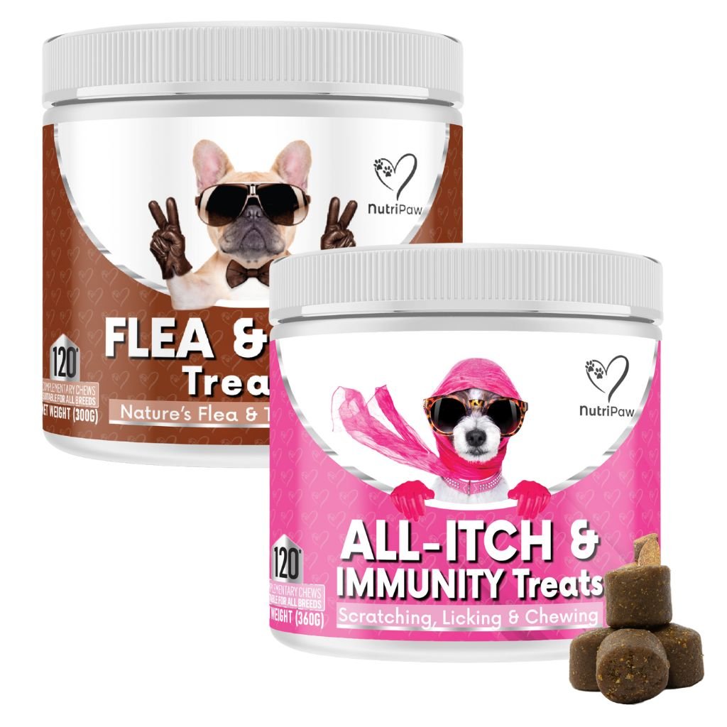 Spring &amp; Summer Itch - NutriPaw