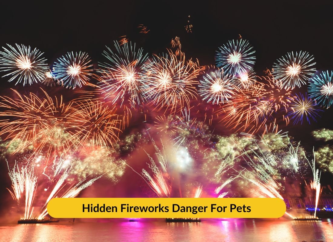 #1 Hidden Danger for Your Dog This Year - NutriPaw