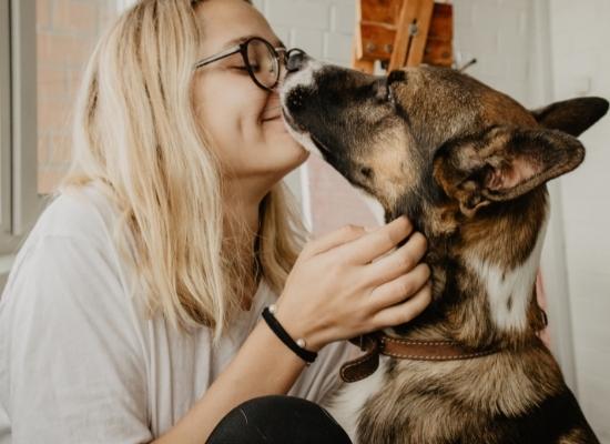 5 Easy Signs To Tell If Your Dog Loves You (& Doesn't Just Like You Because Your Feed Them) - NutriPaw