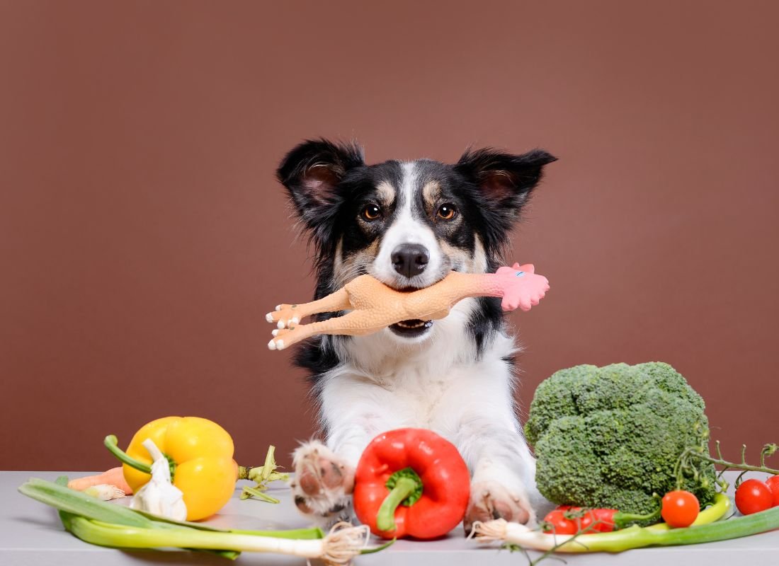 9 Canine Nutrition Myths Debunked - NutriPaw