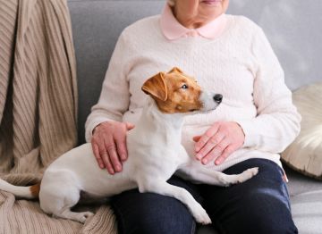 Does your dog miss you?