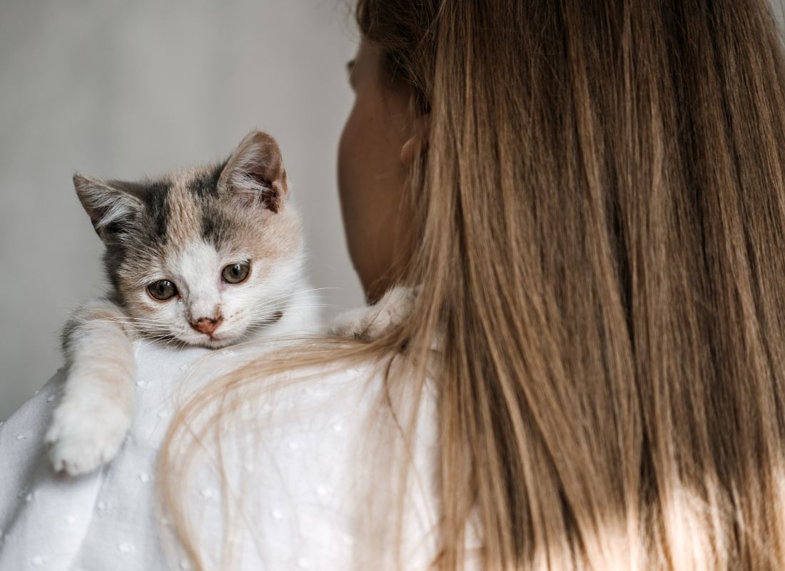 Adopting a Cat: Your Guide to Finding the Perfect Feline Friend - NutriPaw